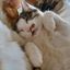 Profile picture nancyejackson.bsky.social