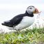 Profile picture donegal1950.bsky.social