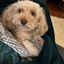 Profile picture msmele.bsky.social