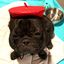 Profile picture frenchieresistance.bsky.social