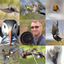 Profile picture carlbovisnature.bsky.social