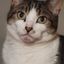 Profile picture thenudge.bsky.social
