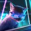 Profile picture cattang.bsky.social