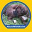 Profile picture stanvahi.bsky.social