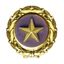 Profile picture goldstarmom.bsky.social