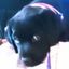Profile picture j-netzel.bsky.social