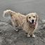 Profile picture oregon-rain.bsky.social