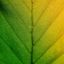 Profile picture photoscotland.bsky.social