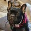 Profile picture gator89.bsky.social