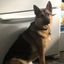 Profile picture tvt7217.bsky.social