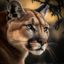 Profile picture jami-jam.bsky.social