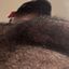 Profile picture jjjootaaa.bsky.social