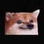 Profile picture 0-0-5-1.bsky.social