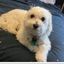 Profile picture birdchaser49.bsky.social