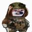 Profile picture lisasinnyc.bsky.social