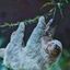 Profile picture texmisc.bsky.social