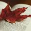 Canadian History News