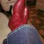 Profile picture linm260.bsky.social