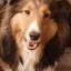 Profile picture sheltieopolis.bsky.social