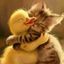 Profile picture sngreen.bsky.social