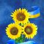 Profile picture barbstc.bsky.social