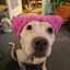 Profile picture mauigirl70.bsky.social