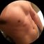 Profile picture justhorny123.bsky.social