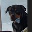 Profile picture pamwalker.bsky.social