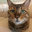 Profile picture pegmelchior.bsky.social