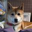 Profile picture madelynerants.bsky.social