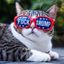 Profile picture rbgprevails.bsky.social