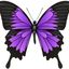 Profile picture truthseeker73863.bsky.social