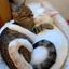 Profile picture leo-nicolette639.bsky.social