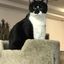 Profile picture momzilla43.bsky.social