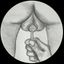Profile picture coppiaamateur.bsky.social