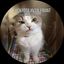 Profile picture nimueh.bsky.social