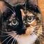 Profile picture mezza-notte.bsky.social