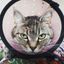 Profile picture mamahog.bsky.social