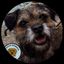 House of Border Terriers
