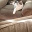 Profile picture gbaileyny.bsky.social