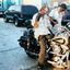Profile picture randy-randy1.bsky.social