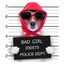 Profile picture whyisthat.bsky.social