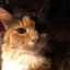 Profile picture emmajeankitty.bsky.social