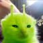 Profile picture ibesodamntired.bsky.social