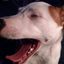 Profile picture chucklene58.bsky.social