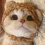 Profile picture archive0x.bsky.social