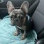 Profile picture lilbittybooks.bsky.social