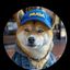 Profile picture dovewoman.bsky.social