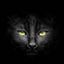 Profile picture elisabischof.bsky.social