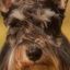 Profile picture rfmedler.bsky.social